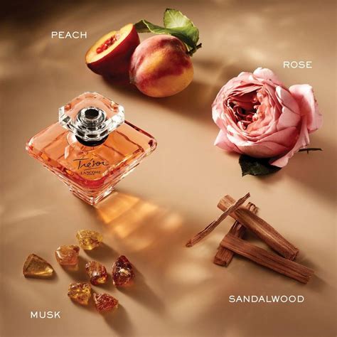 tresor perfume notes|tresor perfume on sale.